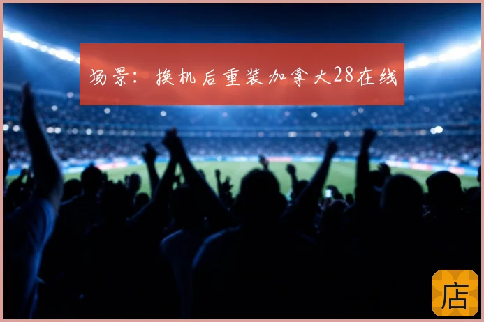 场景:换机后重装加拿大28在线